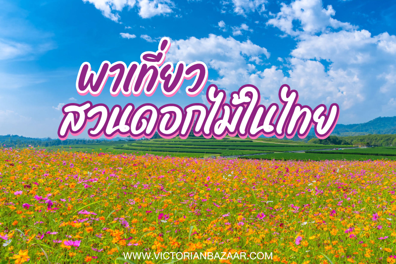 พาเที่ยวสวนดอกไม้ในไทย