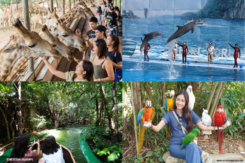 เที่ยวสวนสัตว์ไทย